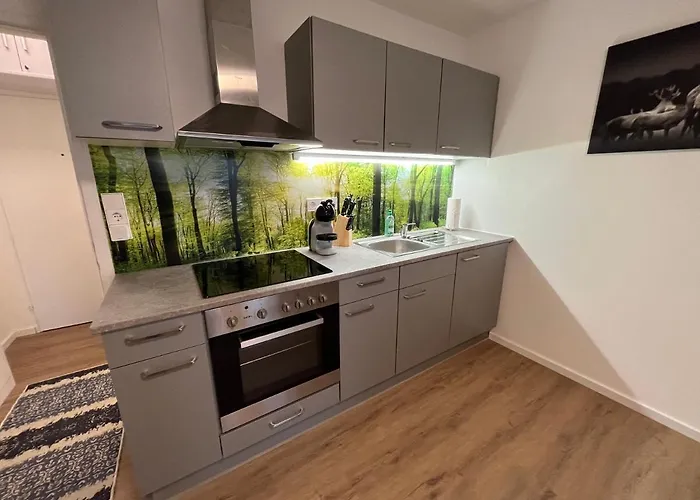 Apartmán Modernes 4er In Skilift-naehe Zell am See