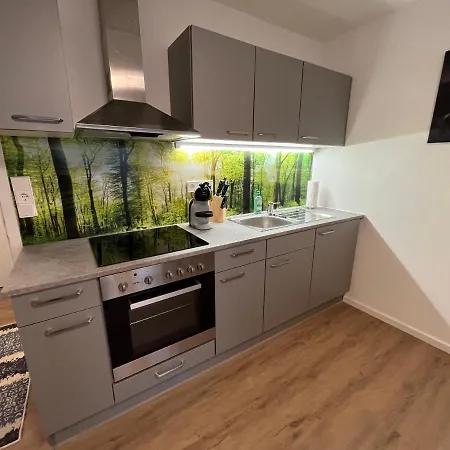 Апартаменты Modernes 4er In Skilift-naehe Целль-ам-Зе