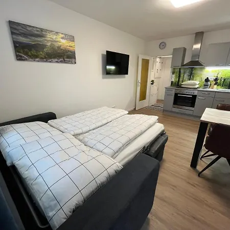 Апартаменты Modernes 4er In Skilift-naehe